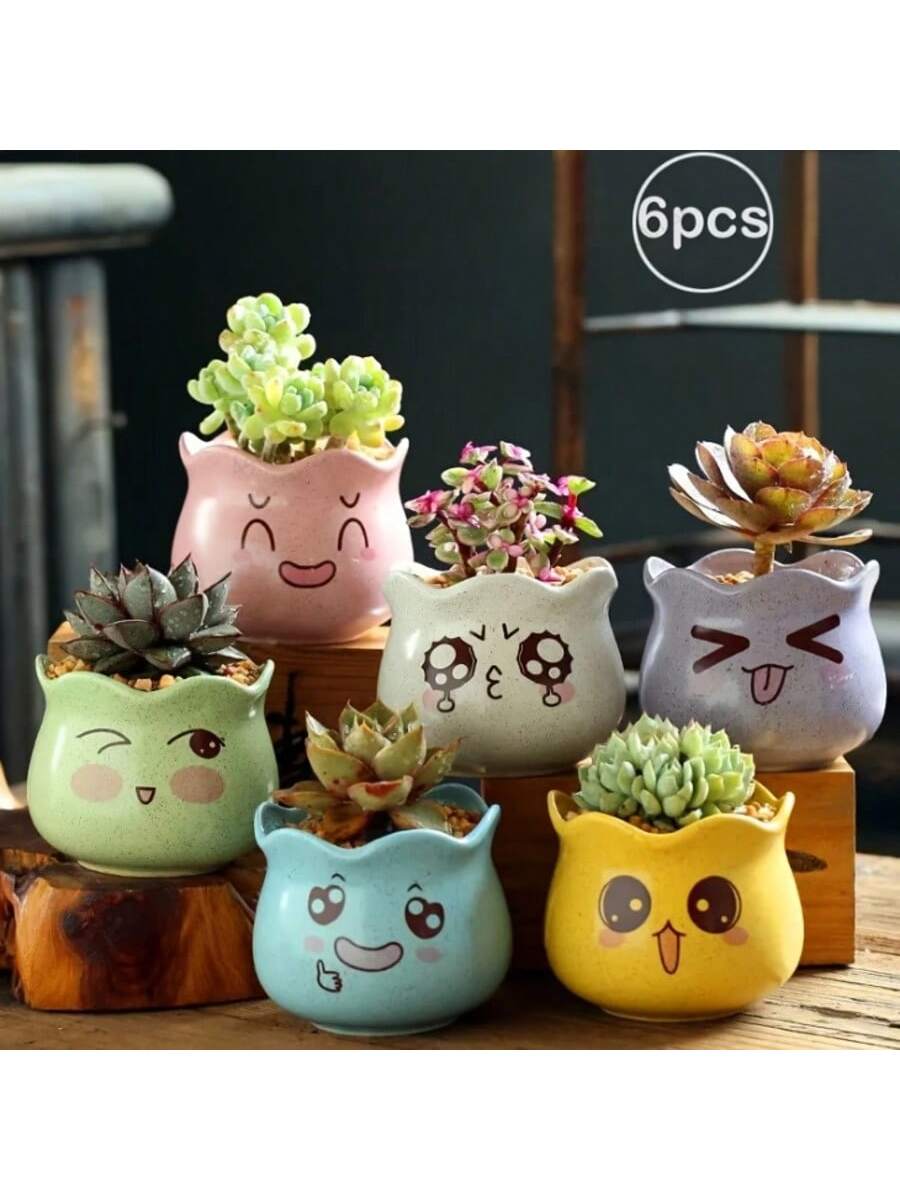 Echeveria Succulent - Набор из 6 милых керамических цветочных