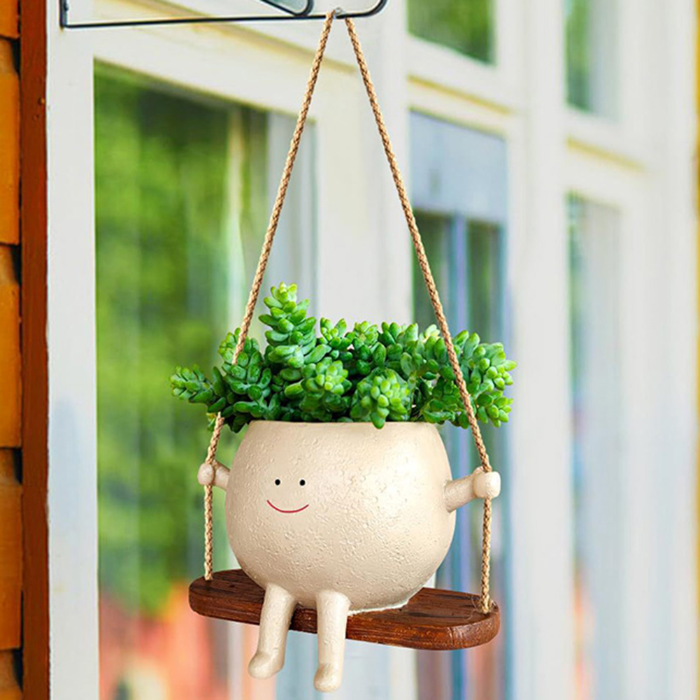 Вешалка для растений, корзины, – обзор и цена Echeveria Succulent
