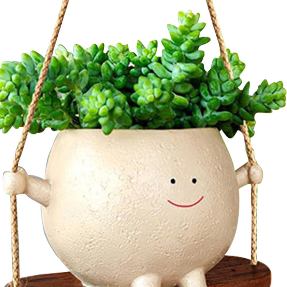Вешалка для растений, корзины, – обзор и цена Echeveria Succulent