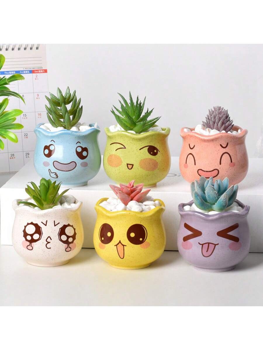 Набор из 6 милых керамических  – обзор и цена Echeveria Succulent