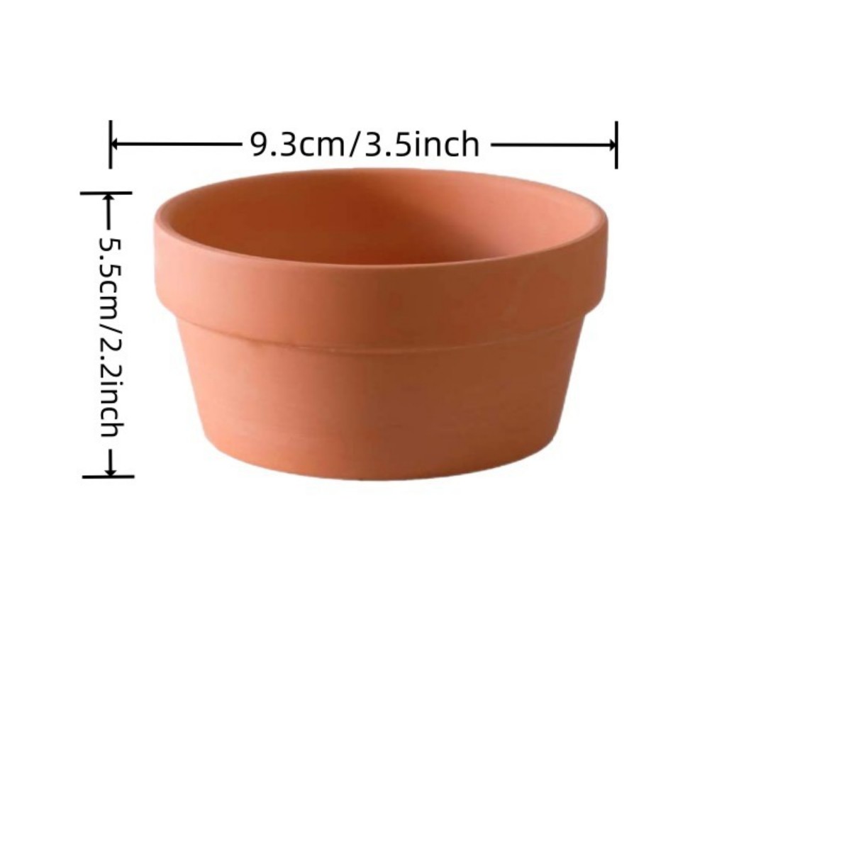 Горшки терракотовые для цветов – обзор и цена Echeveria Succulent