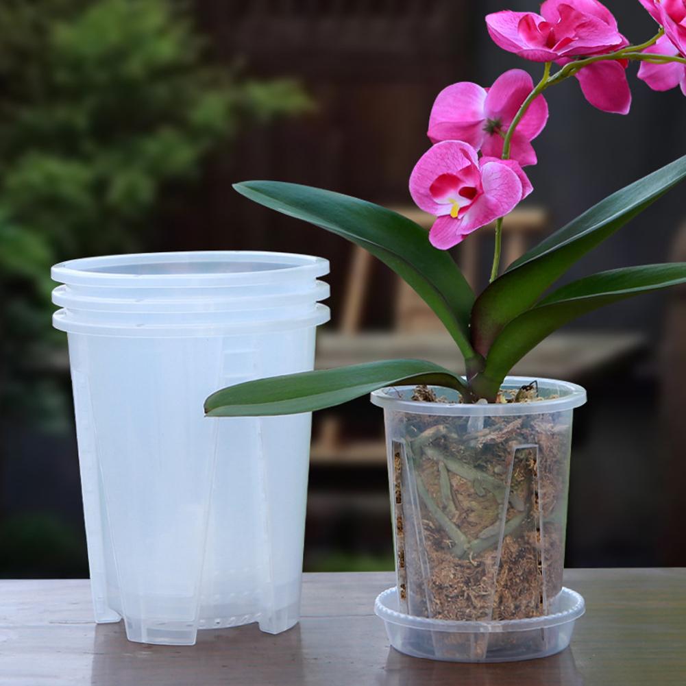 Прозрачный пластиковый горшок  – обзор и цена Aloe Vera Pot