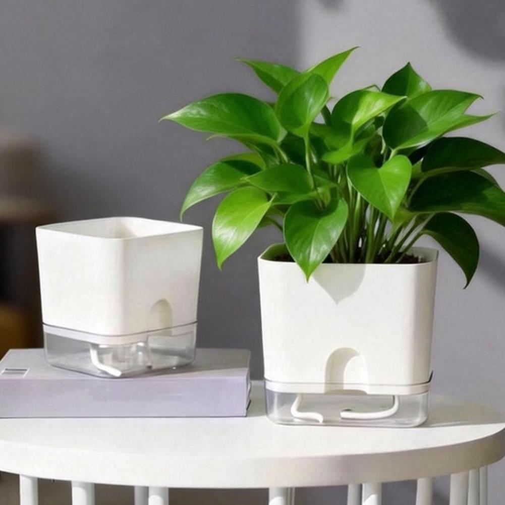 Автоматические горшки для цвет – обзор и цена Aloe Vera Pot