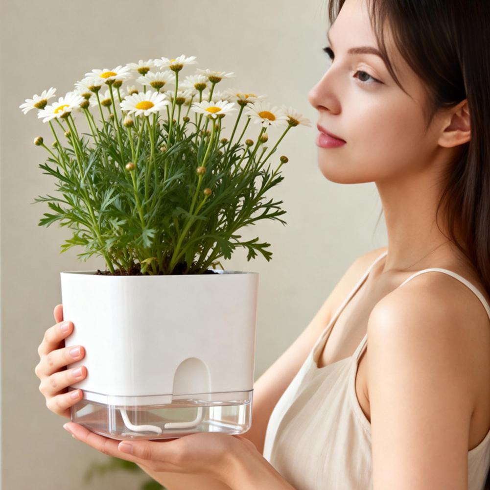 Автоматические горшки для цвет – обзор и цена Aloe Vera Pot