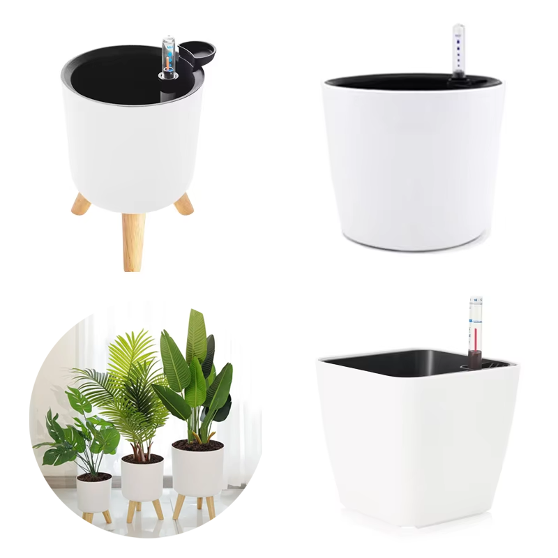 1 шт. пластиковый горшок для ц – обзор и цена Aloe Vera Pot
