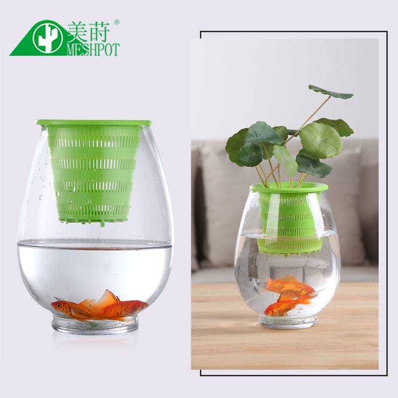 Meshpot 3 шт., цветная пластик – обзор и цена Aloe Vera Pot